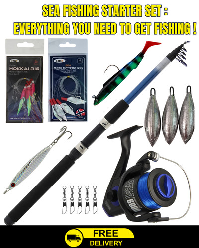 10ft sea fishing rod - 10ft,